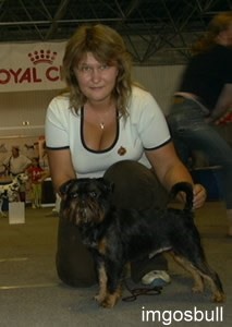 Belge griffon Charka Black Royal of Fire