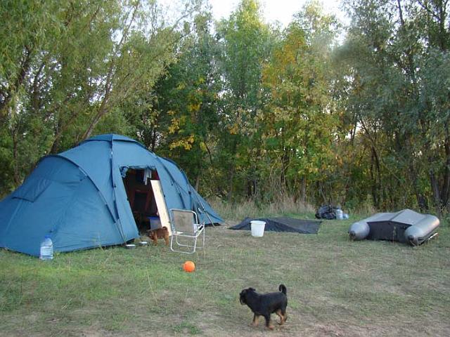 DSC05356.jpg
