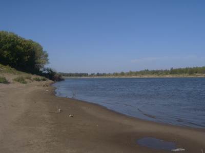 P1030049.jpg
